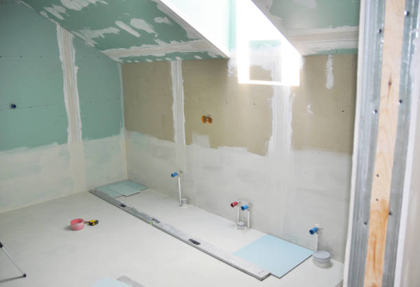 Venice, IL Mold Removal Company