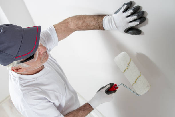 Best Attic Mold Removal  in Venice, IL