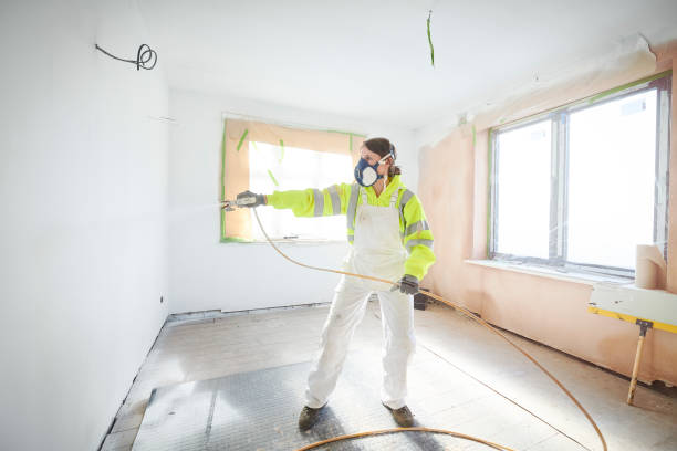 Best Industrial Mold Remediation  in Venice, IL