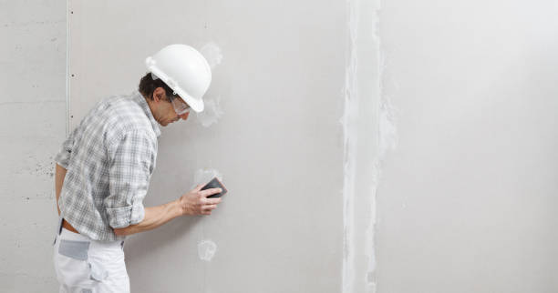 Best Mold Odor Removal Services  in Venice, IL