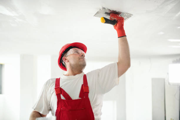 Best Commercial Mold Inspection  in Venice, IL