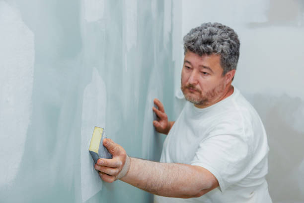 Best Mold Damage Restoration  in Venice, IL
