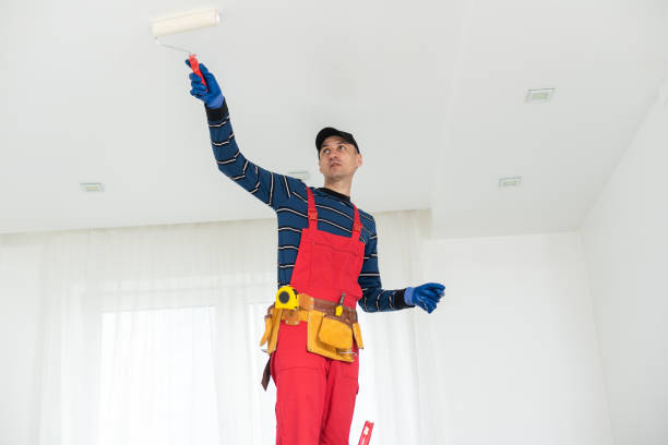 Best Mold Remediation for Healthcare Facilities  in Venice, IL