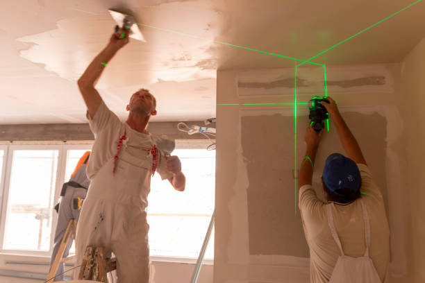 Best Emergency Mold Remediation  in Venice, IL