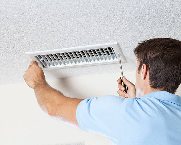 Best Environmental Consulting for Mold Prevention  in Venice, IL