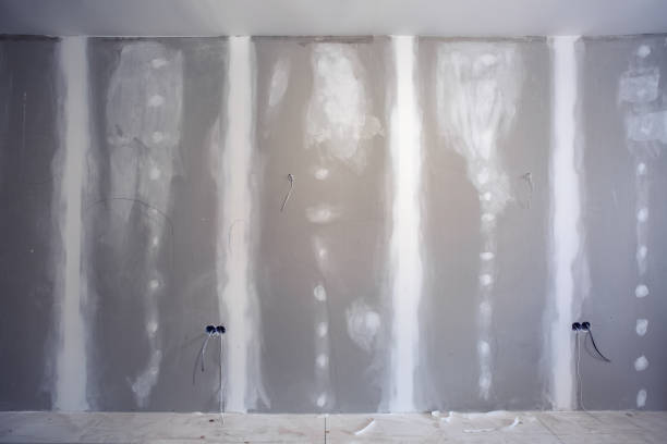 Mold Remediation for Rental Properties in Venice, IL